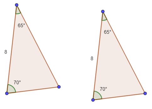 0501vete-c02d-485x349.png