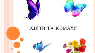 Презентація на тему: "Квіти та комахи".