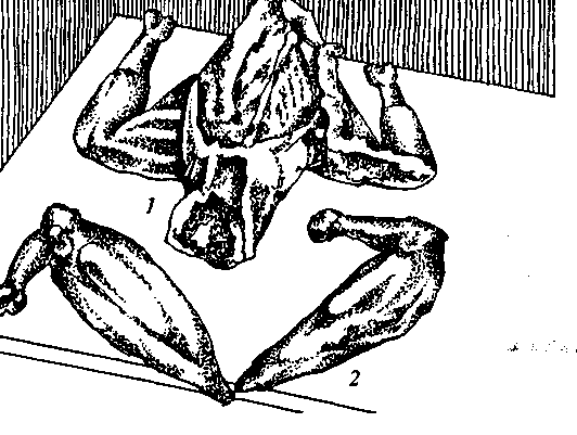 0501vf5x-6998-532x401.png