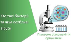Презентація з уроку Пізнаємо природу для 5 класу на тему «Хто такі бактерії та чим особливі віруси»