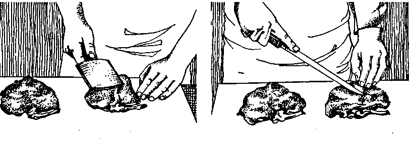 0501vf98-e780-819x283.png