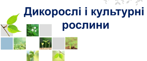 0501vffw-42cd-479x199.png