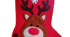 Кросворд "Новорічний чобіток"