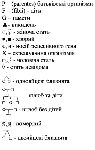 0501vgqo-2c6b-392x618.png