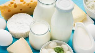Milk and milk products