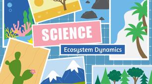 Детальна презентація до уроку на тему "ECOSYSTEM DYNAMICS!" | Англійська мова | English