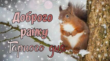 Доброго Зимового Ранку! Гарне побажання Доброго ранку і Чудового дня
