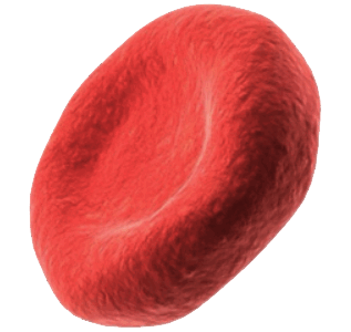 0501vl3b-42ac-317x300.png