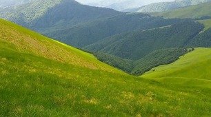 Умови здорового способу життя