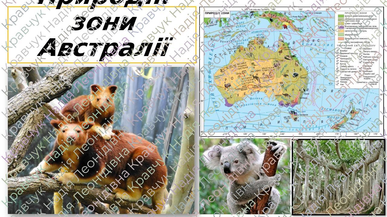 Презентація "Природні зони Австралії" | Презентація. Географія