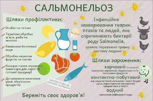 0501vvef-5d2c-512x340.jpg