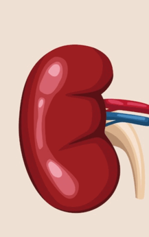 0501vwn3-7bb2-217x345.png
