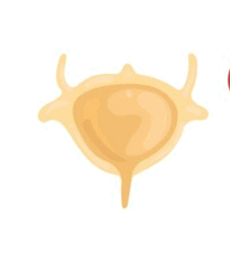 0501vwno-413d-230x267.png