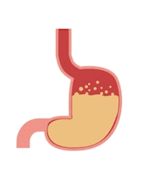 0501vwoy-bd24-240x249.png