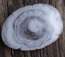 0501vyem-4283-211x185.png