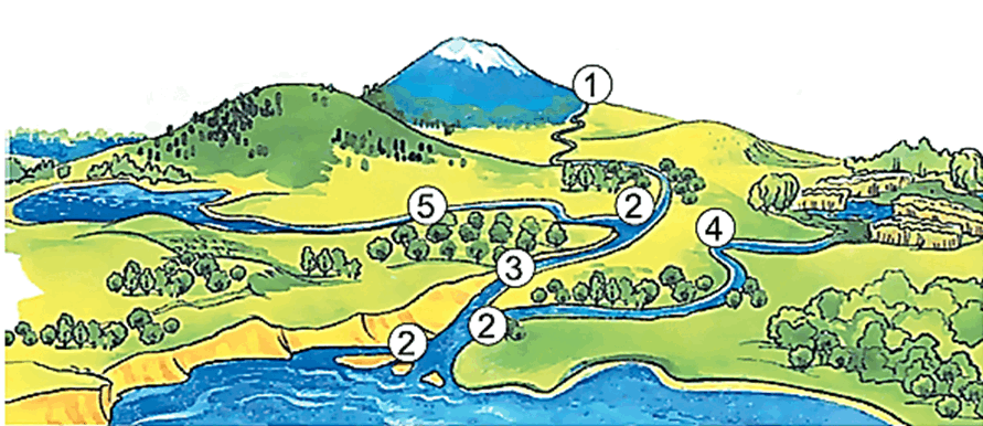 0501vyrr-d686-891x386.png
