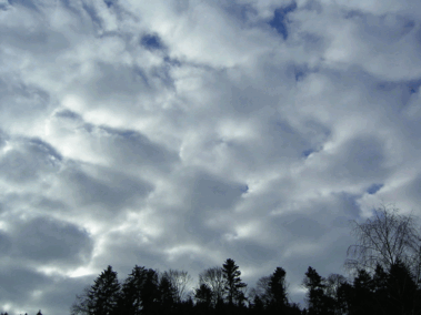0501vzn5-7534-379x284.png