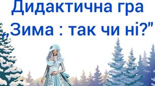 Дидактична гра для роботи дистанційно "Зима: так чи ні?"