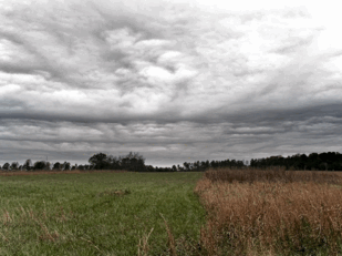 0501w1bm-4294-309x231.png