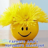 0501w8l4-c99c-156x156.png