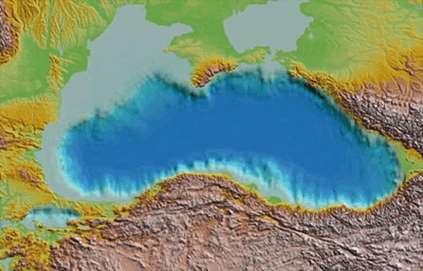 0501wakv-f29f-423x271.png
