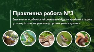Практична робота №3: Визначення особливостей зовнішньої будови хребетних тварин у зв’язку із пристосуванням до різних умов існування