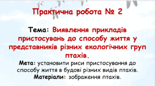 Практична робота №2 Виявлення прикладів пристосувань до способу життя у представників різних екологічних груп птахів.