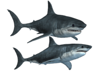 0501weje-f113-202x143.png
