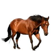 0501wem4-15b8-193x193.png