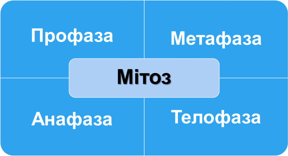 0501wfks-9391-940x510.png