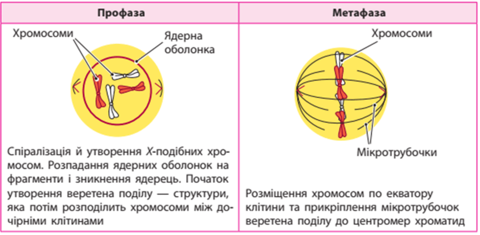 0501wflb-17c8-940x461.png