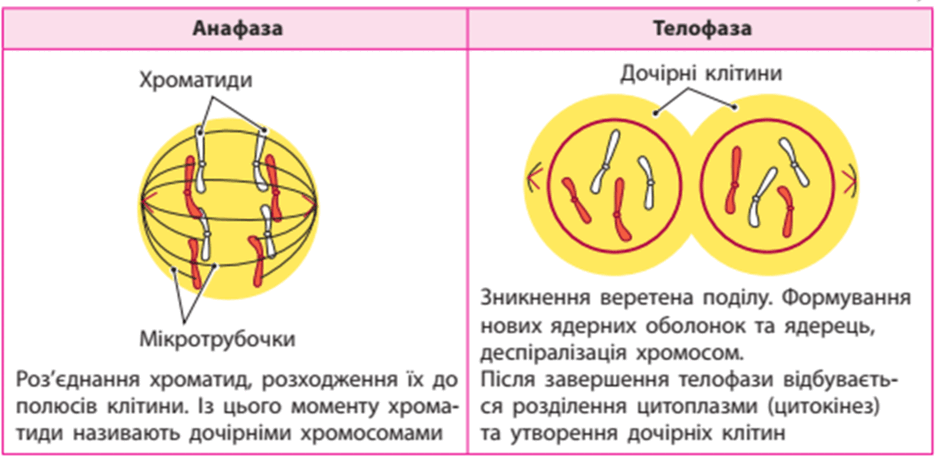 0501wflh-d9cc-940x464.png