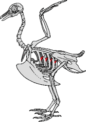 0501wfme-2952-177x252.png
