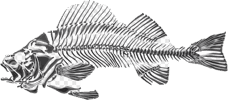 0501wfn7-1956-228x100.png