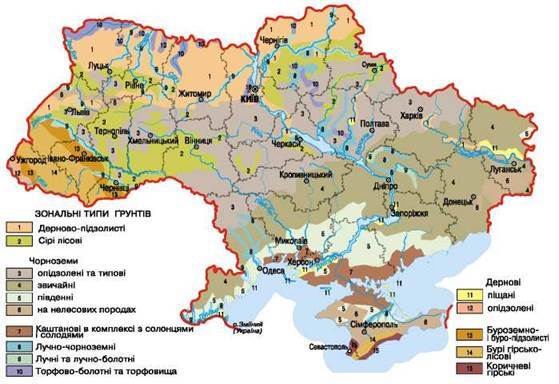 image189.jpg (559×384)