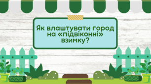 Як влаштувати город на «підвіконні» взимку?