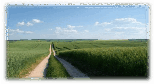 field-1631544_1920-470x313.original.jpg