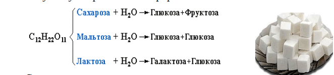 0501wkuf-53d6-662x149.png