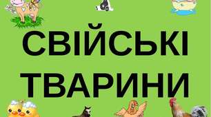 Заняття для дітей раннього та молодшого віку   "На сільському подвір'ї"