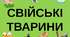 Заняття для дітей раннього та молодшого віку   "На сільському подвір'ї"