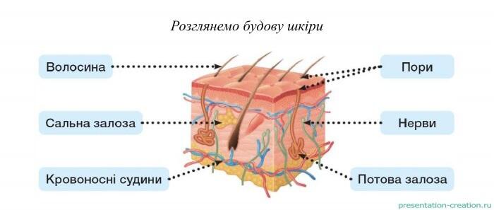 0501wlhm-5390-700x297.jpg