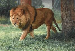 0501wnnh-42f1-266x180.jpg