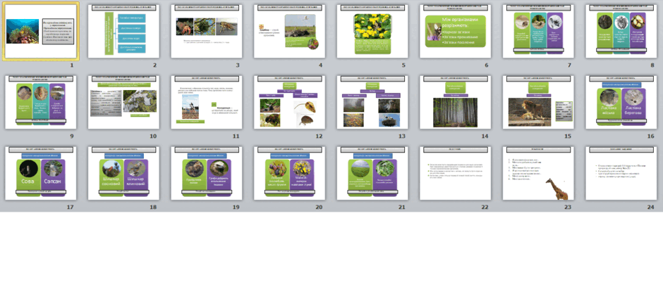 0501wqmy-a349-940x435.png