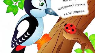 Підсумковий урок з теми "Іменник"