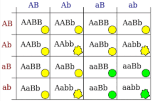 0501wy9y-7a68-307x205.png
