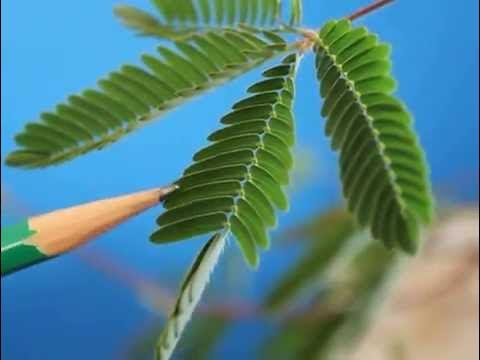 0501x0qd-2144-480x360.jpg