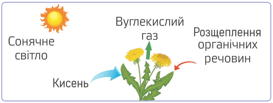 0501x0t7-1e46-940x356.png